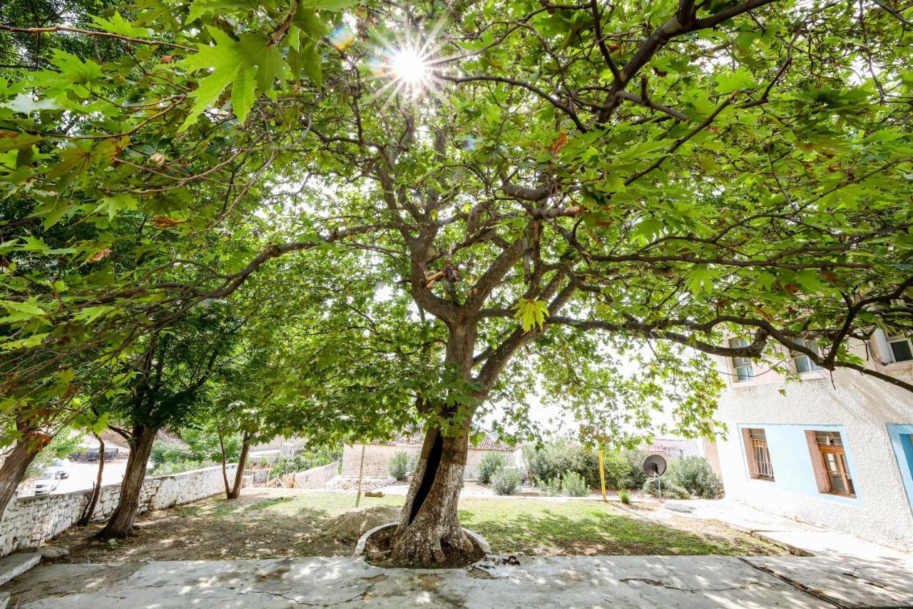 Vila Leon - Old Qeparo - 6 People Экстерьер фото